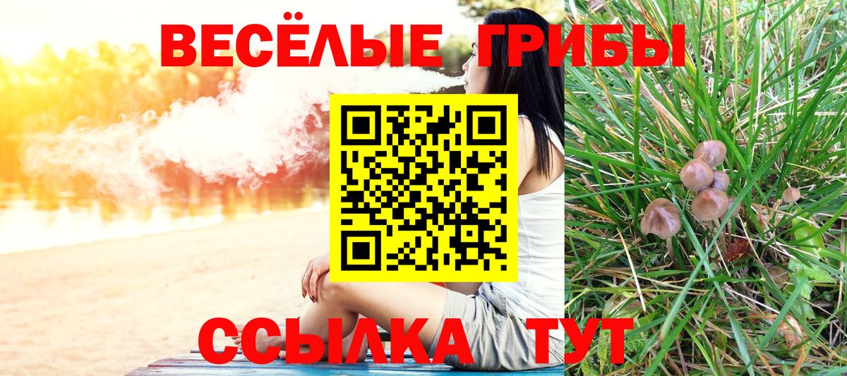 Псилоцибиновые грибы MAGIC MUSHROOMS Людиново